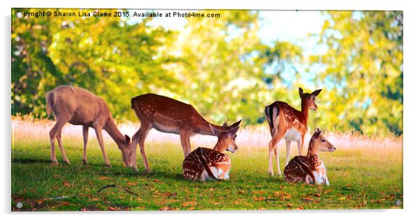 Fallow herd Acrylic by Sharon Lisa Clarke