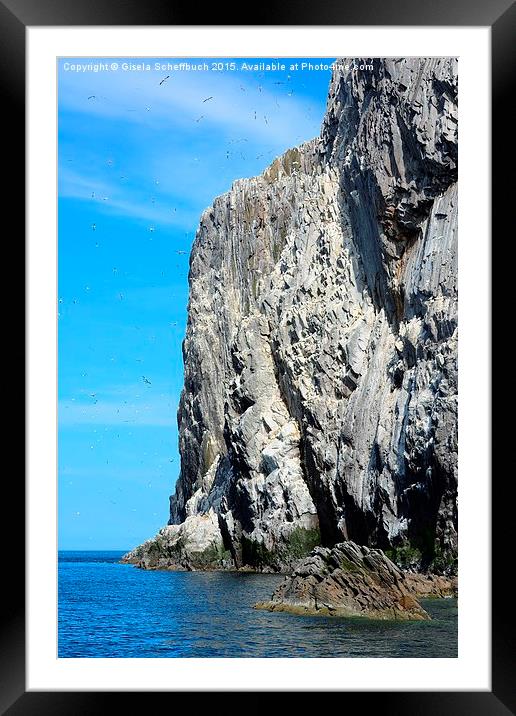  Bass Rock in the Firth of Forth Framed Mounted Print by Gisela Scheffbuch