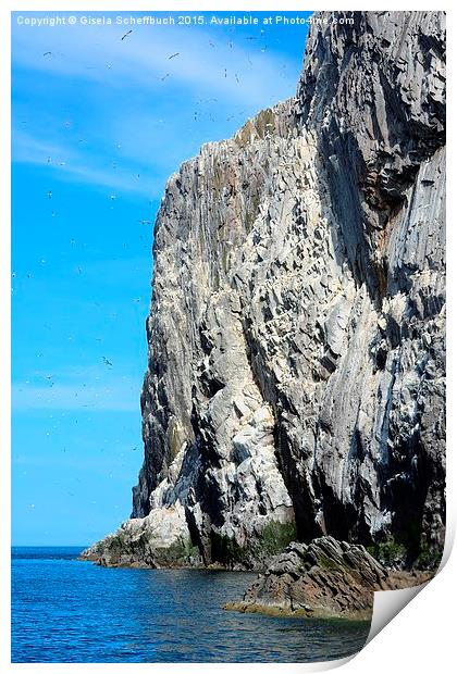  Bass Rock in the Firth of Forth Print by Gisela Scheffbuch