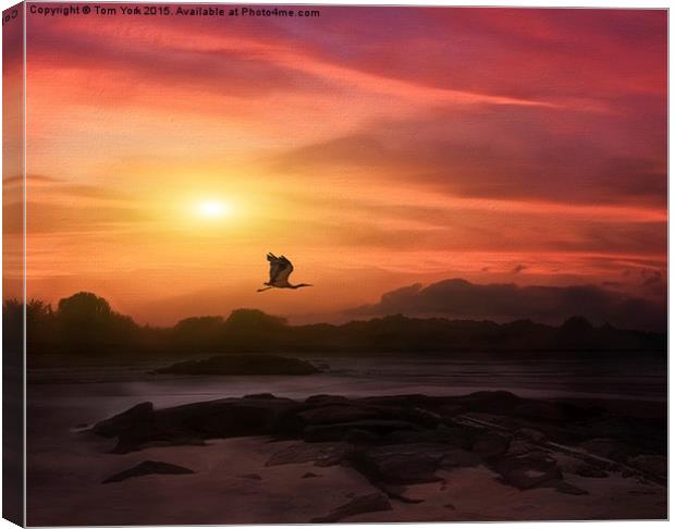 A New Sunset Canvas Print by Tom York