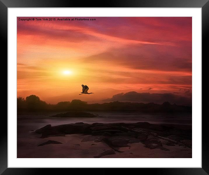 A New Sunset Framed Mounted Print by Tom York