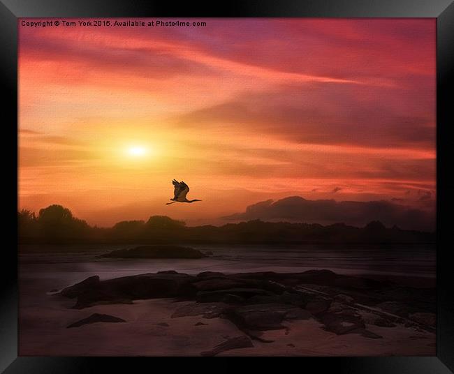 A New Sunset Framed Print by Tom York