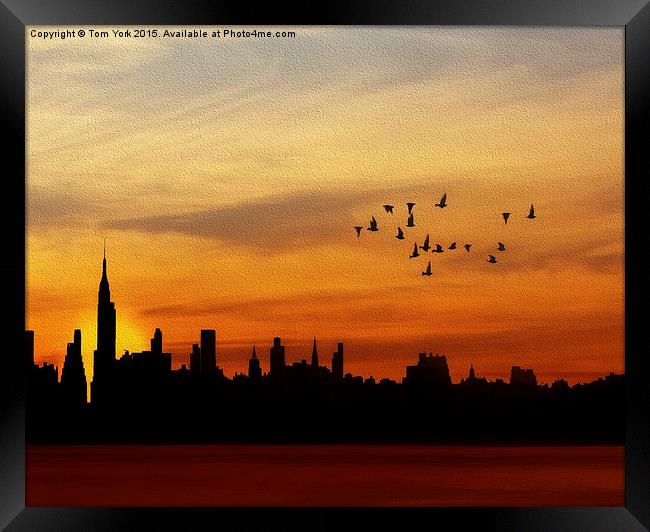 Another New York Sunrise Framed Print by Tom York