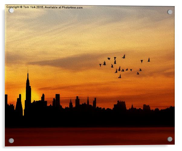 Another New York Sunrise Acrylic by Tom York
