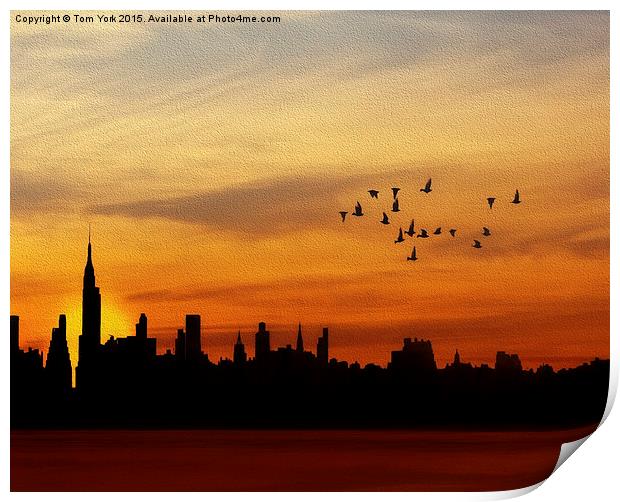 Another New York Sunrise Print by Tom York