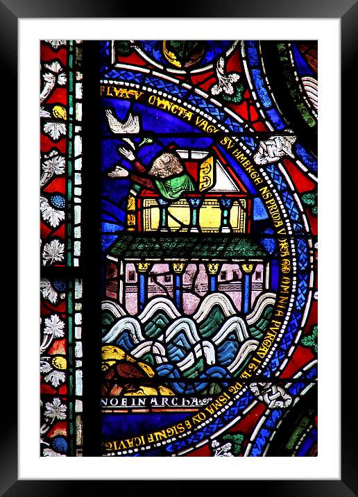   Stained Glass in Canterbury Cathedral Framed Mounted Print by Carole-Anne Fooks