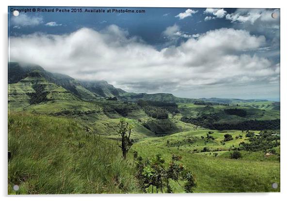  Drakensberg Valley Acrylic by Richard Peche