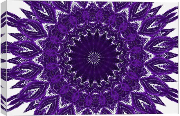 Purple abstract 2 Canvas Print by Ruth Hallam