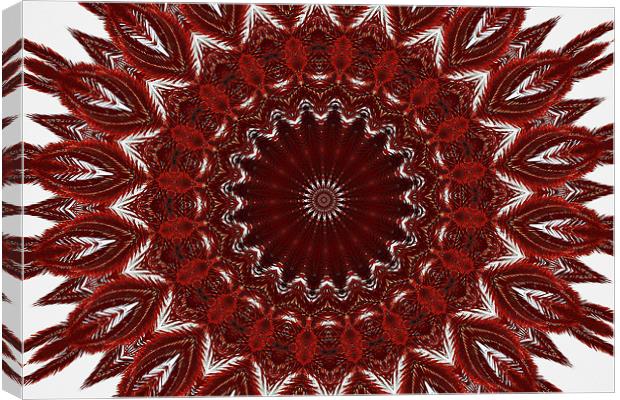 Red abstract Canvas Print by Ruth Hallam