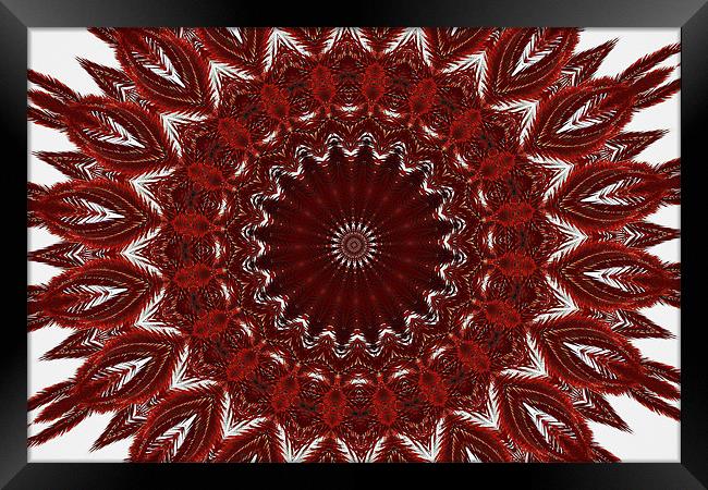 Red abstract Framed Print by Ruth Hallam