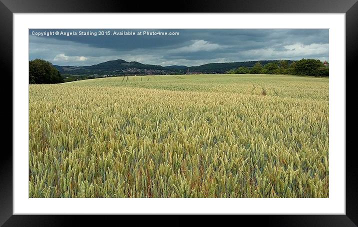  Overlooking Ledbury in Herefordshire. Framed Mounted Print by Angela Starling