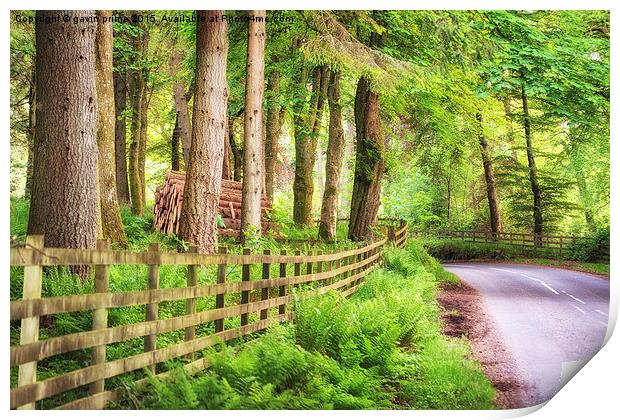 perthshire logs Print by gavin prime