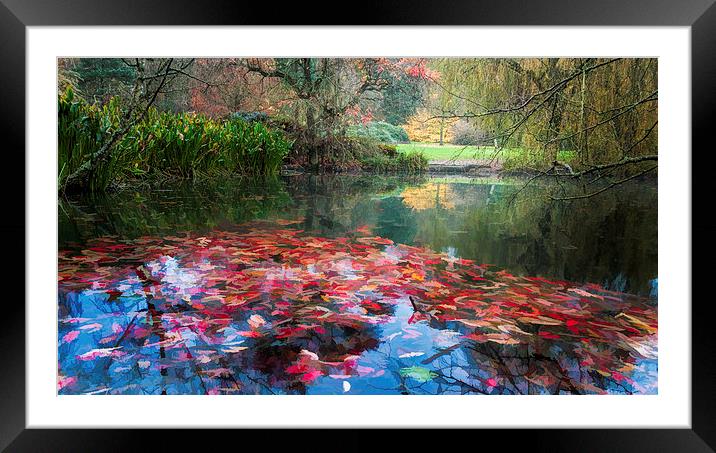  Autumn Pond Framed Mounted Print by Colin Evans