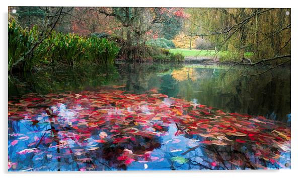  Autumn Pond Acrylic by Colin Evans