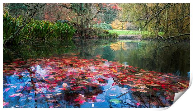  Autumn Pond Print by Colin Evans