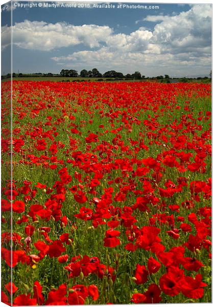  The Poppy field Canvas Print by Martyn Arnold
