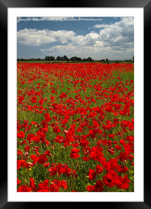 The Poppy field Framed Mounted Print by Martyn Arnold