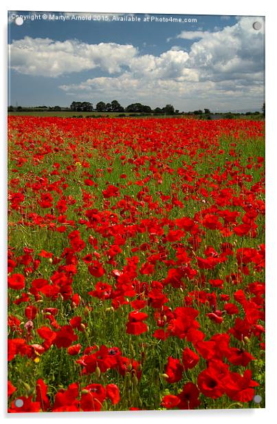  The Poppy field Acrylic by Martyn Arnold