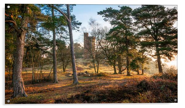 Leith Hill Tower at Dawn Acrylic by Colin Evans