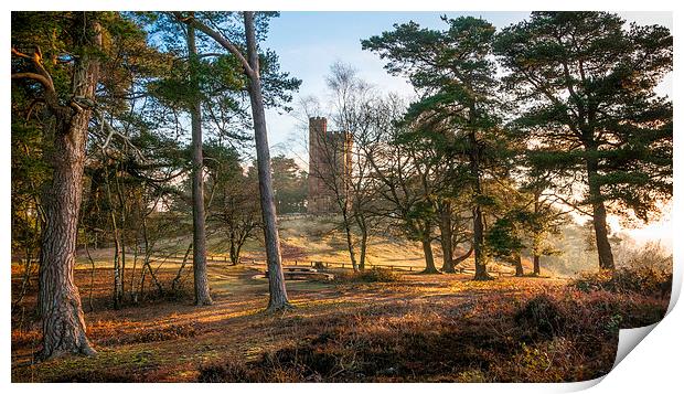 Leith Hill Tower at Dawn Print by Colin Evans