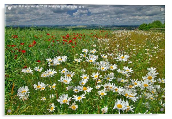  Summer Fields in County Durham Acrylic by Martyn Arnold