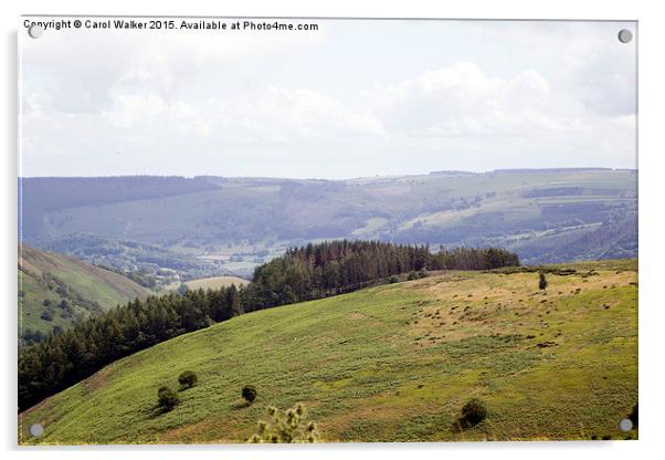  View from Horseshoe Pass Acrylic by Carol Walker