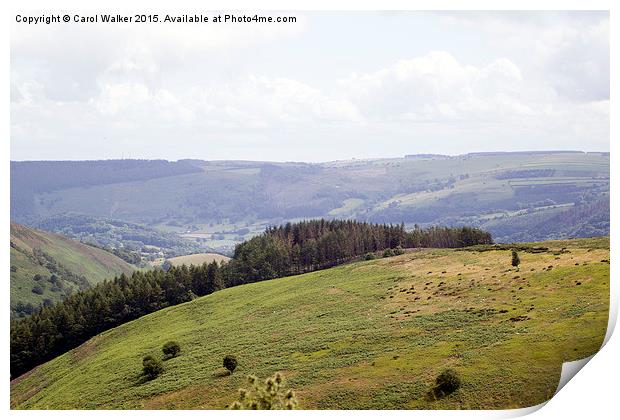  View from Horseshoe Pass Print by Carol Walker
