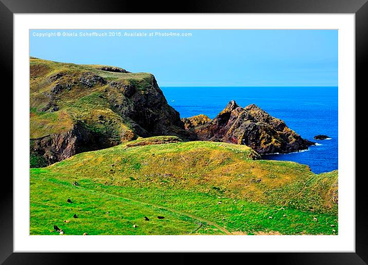  St. Abb's Head Framed Mounted Print by Gisela Scheffbuch