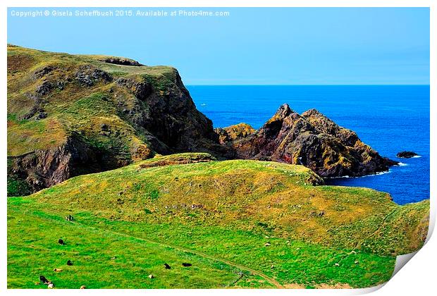  St. Abb's Head Print by Gisela Scheffbuch