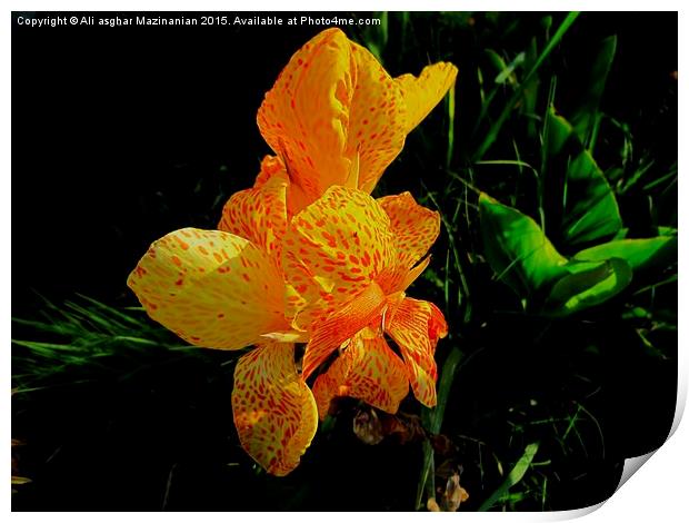 A macro shot of a nice flower 3, Print by Ali asghar Mazinanian