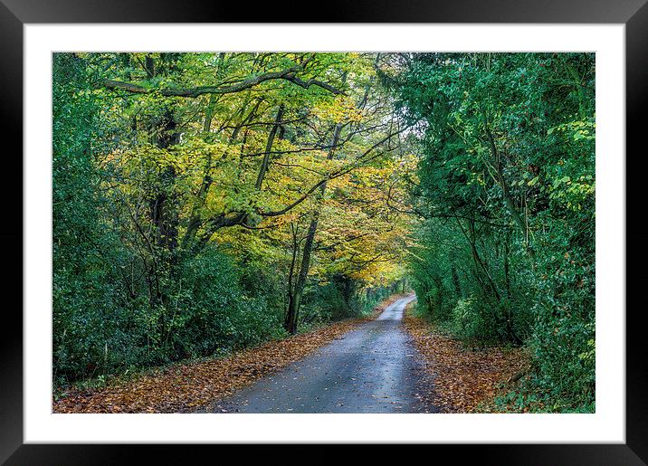  Autumn highway Framed Mounted Print by Gary Schulze