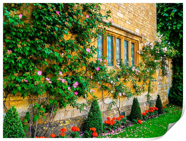  Climbing Roses, Flowers & Architecture. Print by Jason Williams