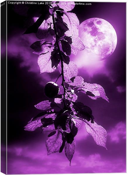  Purple Dream Canvas Print by Christine Lake