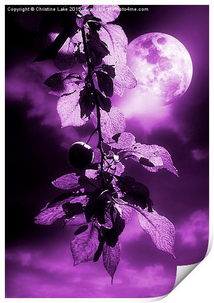  Purple Dream Print by Christine Lake