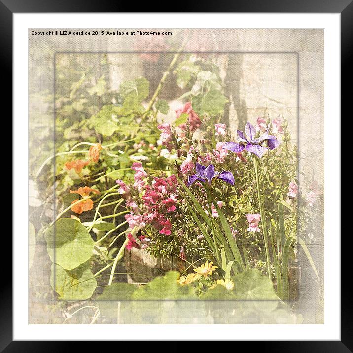 Garden Days  Framed Mounted Print by LIZ Alderdice
