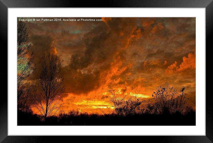  Cedar Sunset II Framed Mounted Print by Ian Pettman