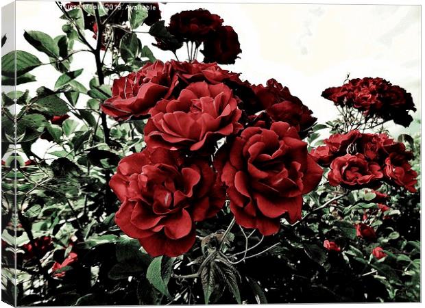  Gothic Rose Canvas Print by Teresa Moore