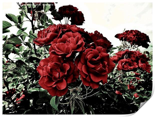  Gothic Rose Print by Teresa Moore