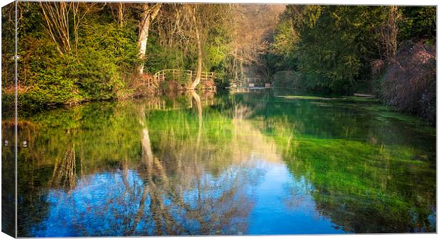 The Clear Pond Canvas Print by Colin Evans