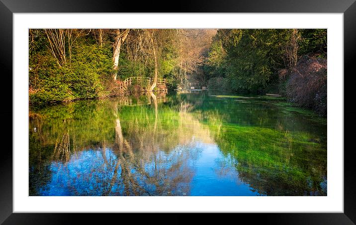 The Clear Pond Framed Mounted Print by Colin Evans