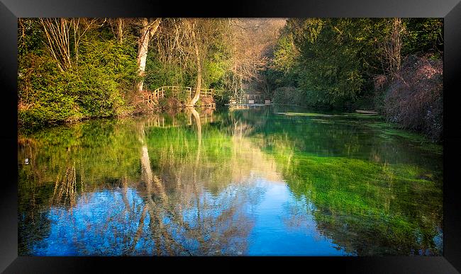The Clear Pond Framed Print by Colin Evans