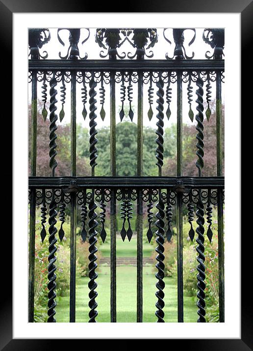 Garden railing 2 Framed Mounted Print by Ruth Hallam
