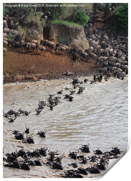 The Great Wildebeest Migration Print by Dave Eyres