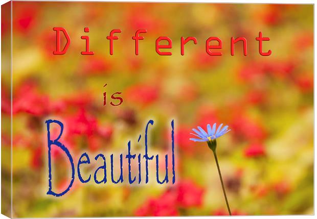 Different is Beautiful  Canvas Print by Colin Evans