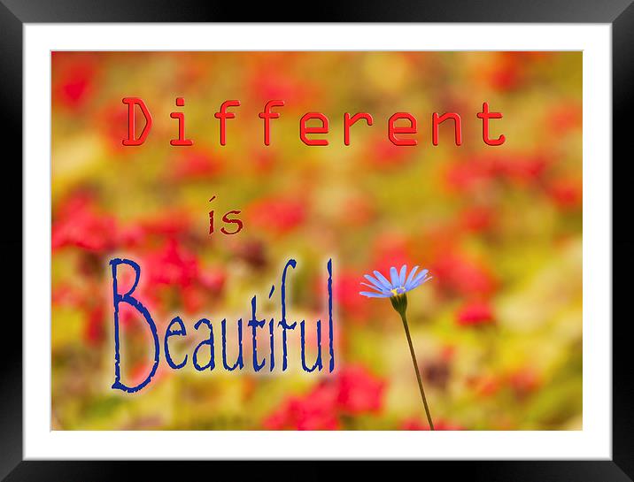 Different is Beautiful  Framed Mounted Print by Colin Evans