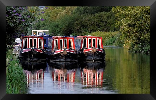  Kennet and avon long boats at Aldermaston. Framed Print by Tony Bates