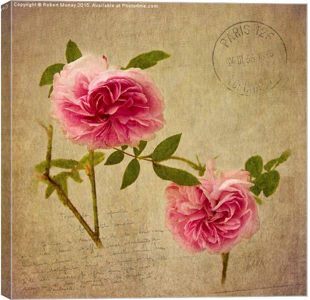  Roses of Paris Canvas Print by Robert Murray