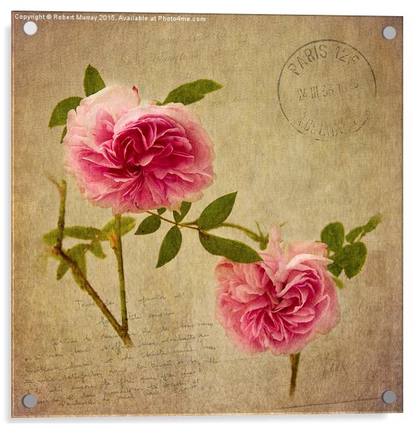  Roses of Paris Acrylic by Robert Murray