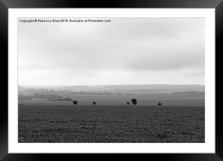  Line of Trees (B&W) Framed Mounted Print by Rebecca Giles