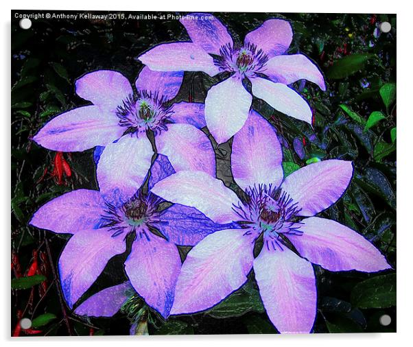  CLEMATIS Acrylic by Anthony Kellaway
